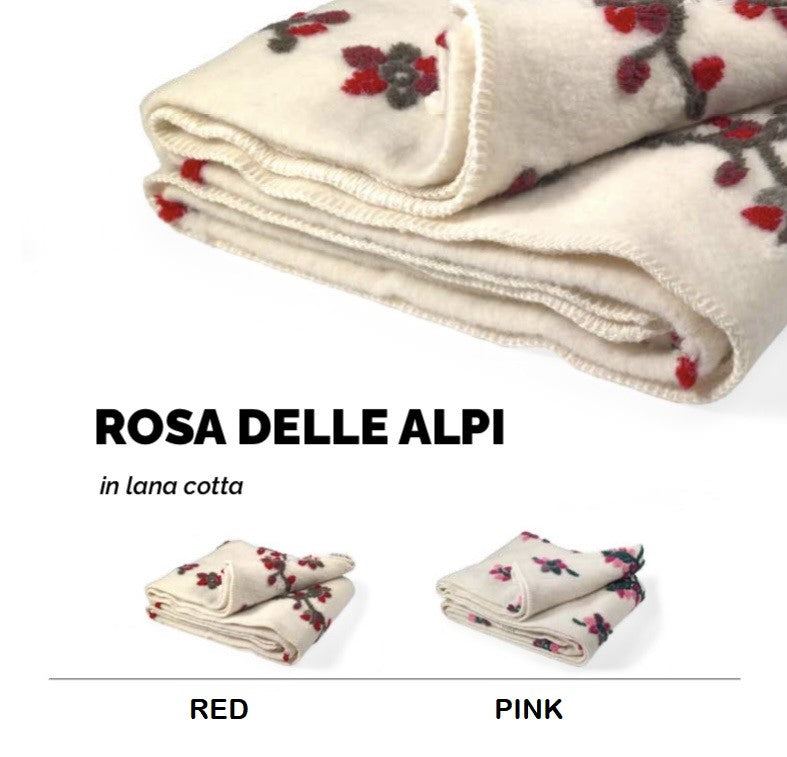 Rosa delle Alpi